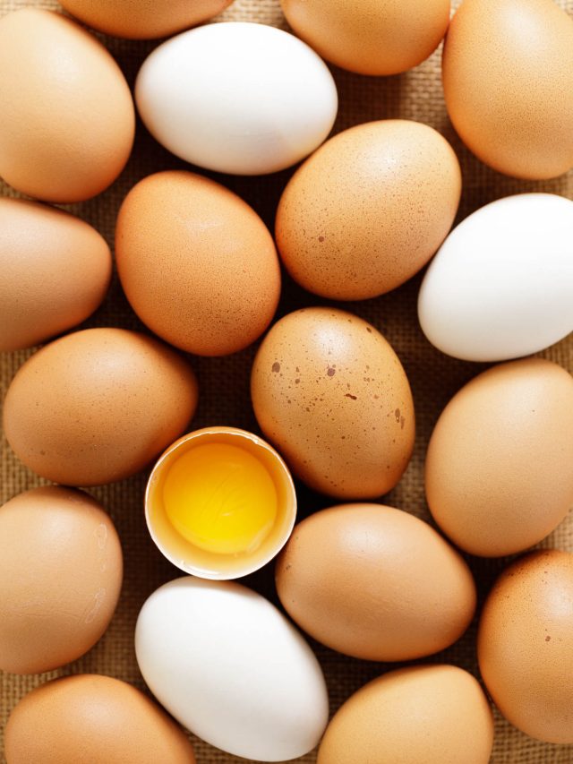 What is an egg, anyway? Defining the parts of an egg