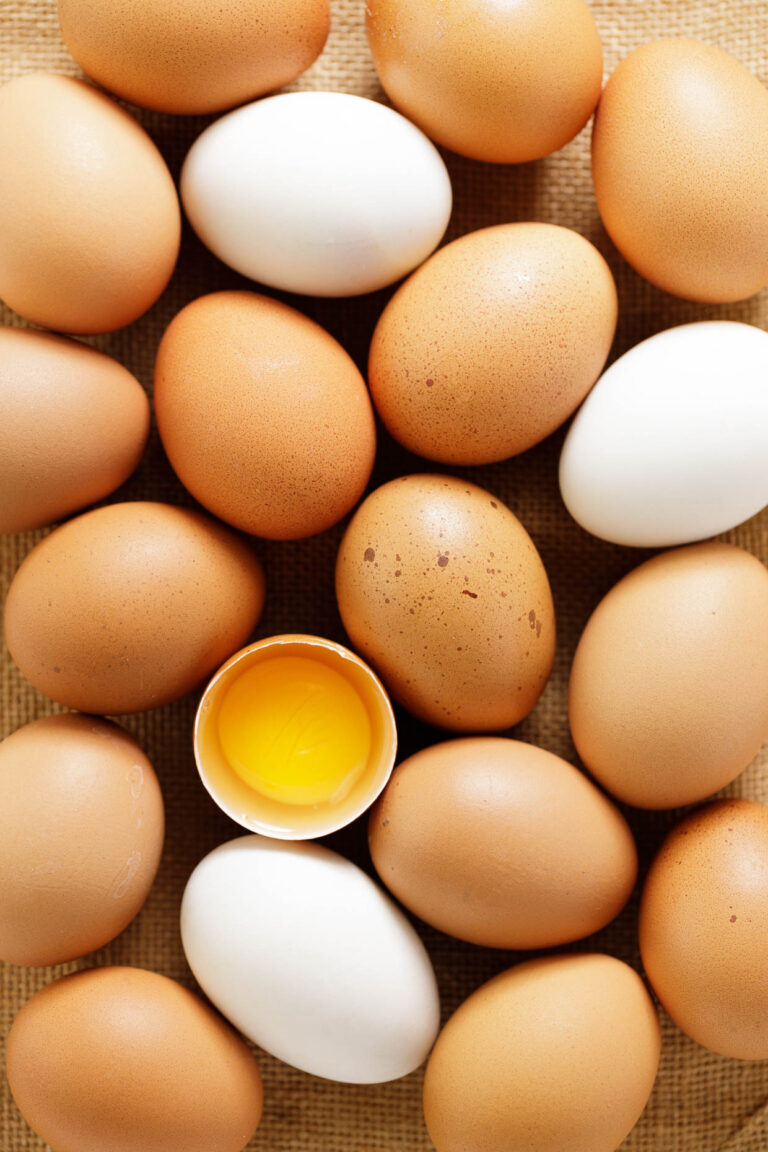 What is an egg, anyway? Defining the parts of an egg