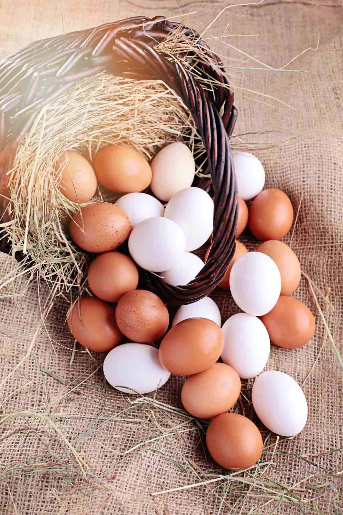 Farm fresh eggs in a basket.