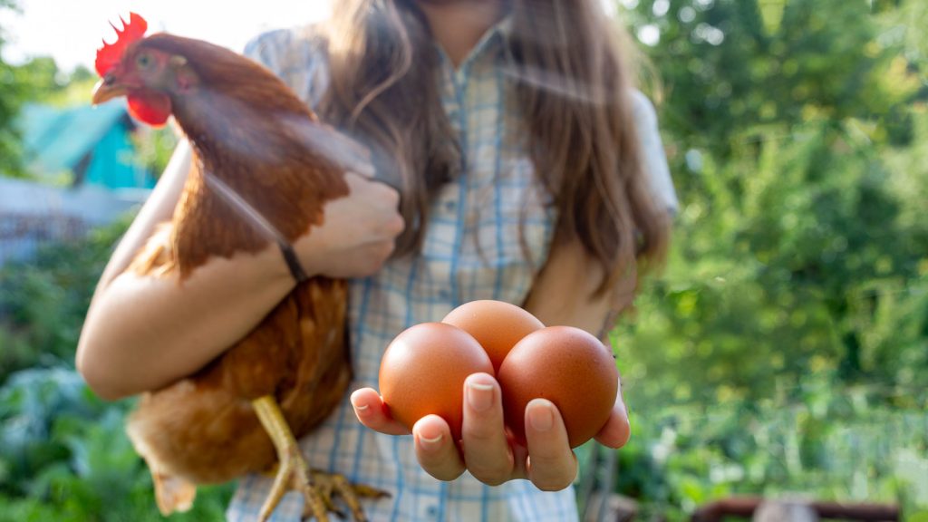 Woman displaying everything you need to know about buying eggs while holding a chicken and showcasing three fresh eggs.