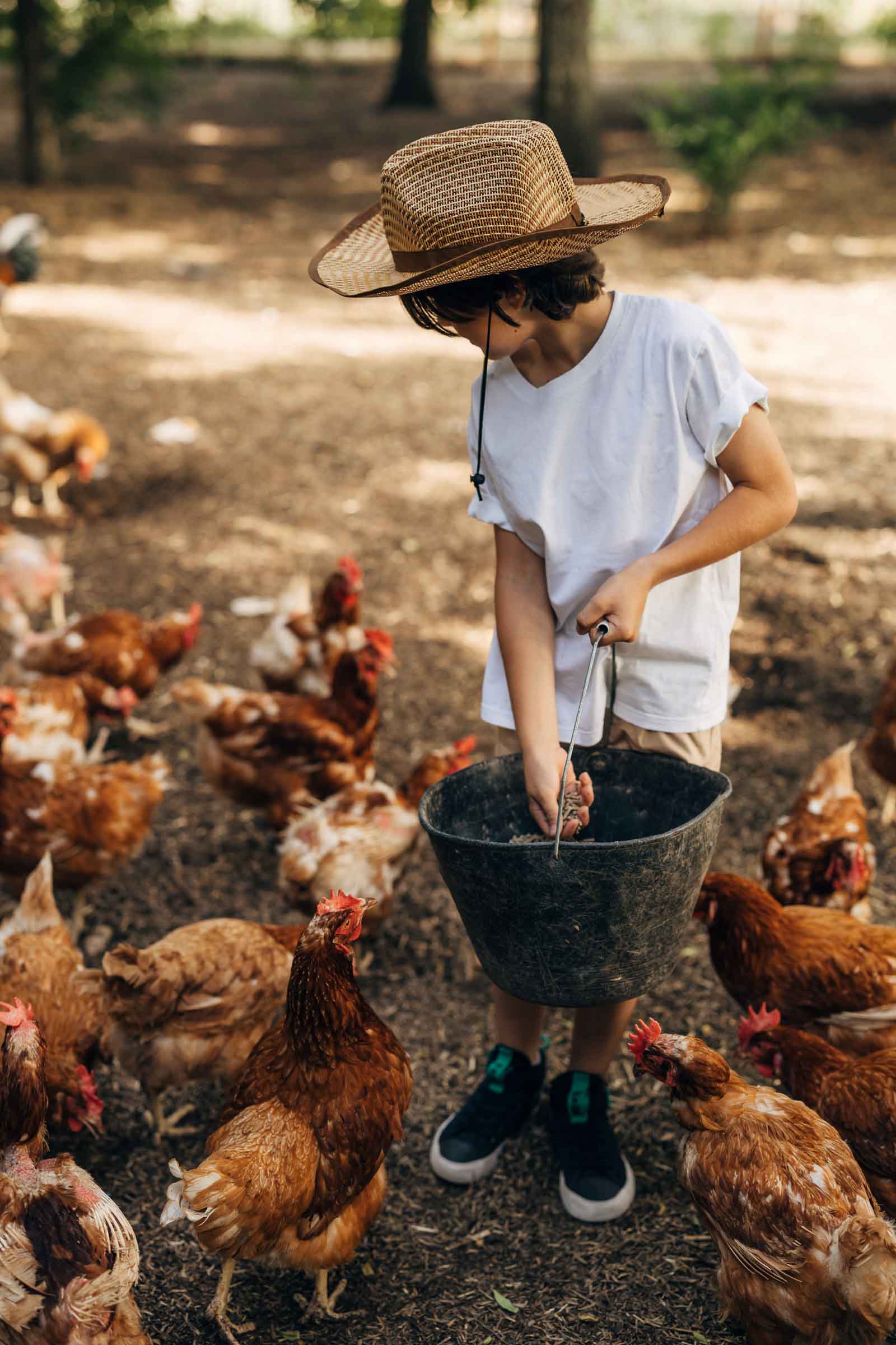 A child in a straw hat choosing eggs for feeding chickens from a large bowl outdoors.
