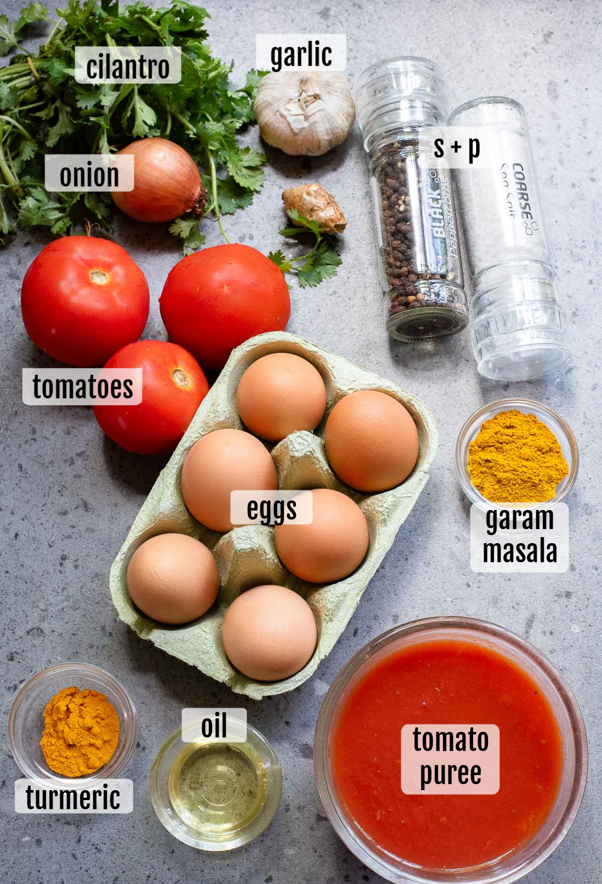 Ingredients for Indian Egg Curry laid out on a countertop: tomatoes, onion, cilantro, garlic, salt, pepper, eggs, turmeric, oil, garam masala, and tomato puree.
